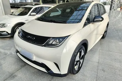BYD Dolphin · 2023 год