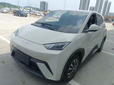BYD Seagull · 2024 год