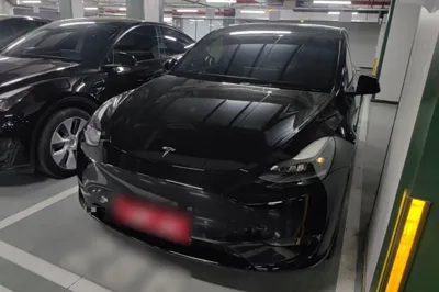 Tesla Model Y · 2021 год