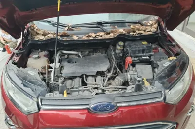 Ford EcoSport 2017, 49600 км, за 5716 USD - фото 21