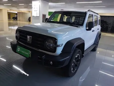 Tank Tank 300 New Energy 2025, 8100 км, за 29605.08 USD