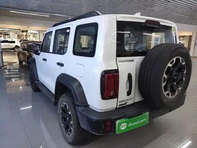 Tank Tank 300 New Energy 2025, 8100 км, за 29605.08 USD