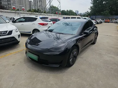 Tesla Model 3 · 2021 год