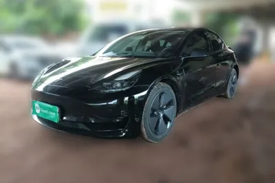 Tesla Model 3 · 2022 год