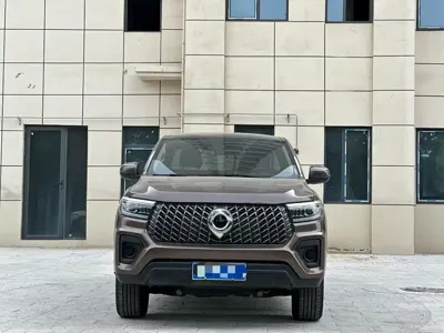 Great Wall Pao 2025, 3800 км, за 15273.39 USD