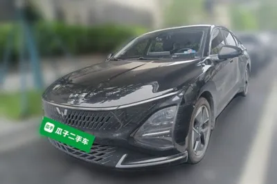 Wuling Xingguang · 2023 год