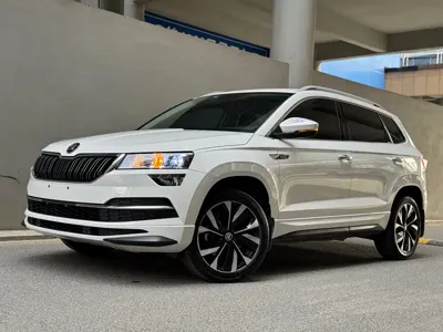 Skoda Karoq · 2022 год