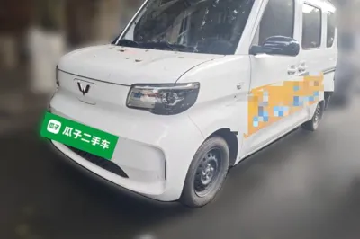 Wuling Zhiguang New Energy · 2025 год
