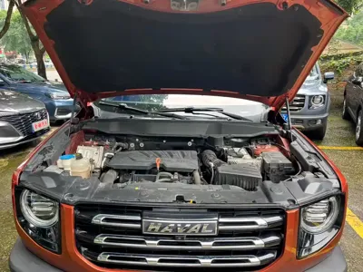 Haval Big Dog 2021, 50000 км, за 8799.12 USD - фото 14