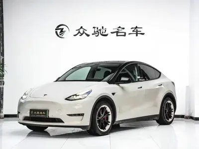 Tesla Model Y · 2022 год