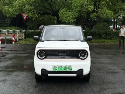 Galaxy Panda 2024, 17800 км, за 4078.85 USD