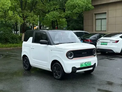 Galaxy Panda 2024, 17800 км, за 4078.85 USD