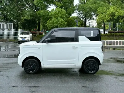 Galaxy Panda 2024, 17800 км, за 4078.85 USD
