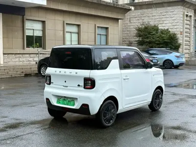 Galaxy Panda 2024, 17800 км, за 4078.85 USD