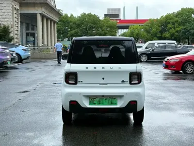 Galaxy Panda 2024, 17800 км, за 4059.14 USD - фото 6