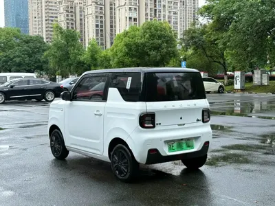 Galaxy Panda 2024, 17800 км, за 4059.14 USD - фото 7