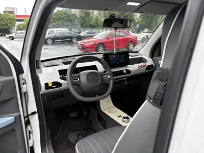 Galaxy Panda 2024, 17800 км, за 4059.14 USD - фото 8
