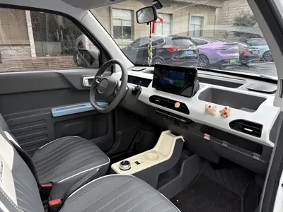 Galaxy Panda 2024, 17800 км, за 4059.14 USD - фото 9