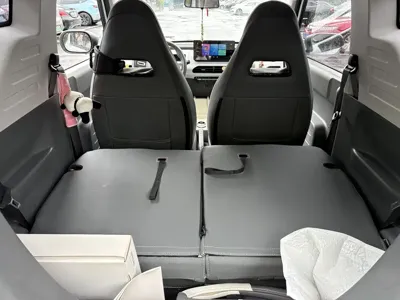 Galaxy Panda 2024, 17800 км, за 4059.14 USD - фото 13