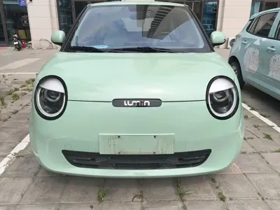 Qiyuan Lumin 2022, 17900 км, за 4898.96 USD