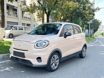 Leapmotor Leapmotor T03 · 2022 год