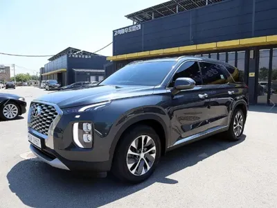 Hyundai Palisade · 2019 год