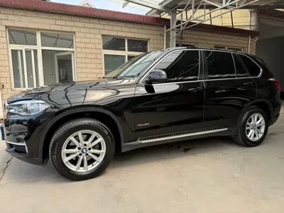 BMW X5 (Import) 2017, 79000 км, за 20880.52 USD