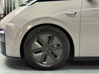 Li Auto Li MEGA 2024, 31000 км, за 56917.53 USD - фото 17