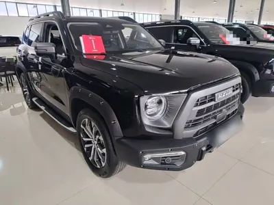 Haval Big Dog 2023, 44900 км, за 12963.26 USD