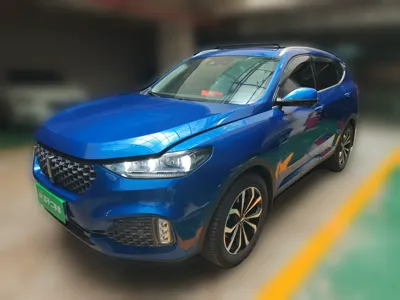 WEY VV6 · 2020 год