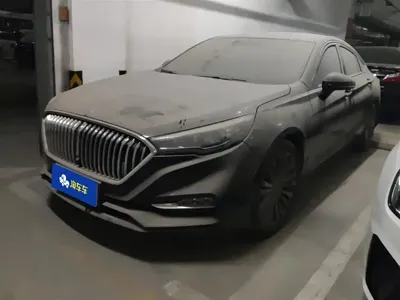 Hongqi Hongqi H5 · 2021 год