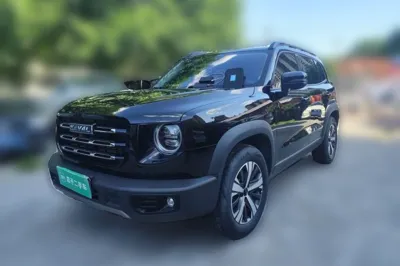 Haval Dargo · 2021 год