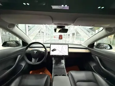 Tesla Model 3 2020, 120000 км, за 13575.44 USD