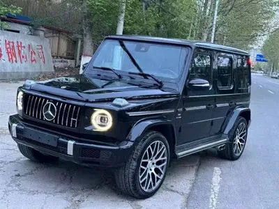 Mercedes-Benz G-Class · 2019 год