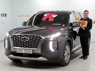 Hyundai Palisade · 2019 год