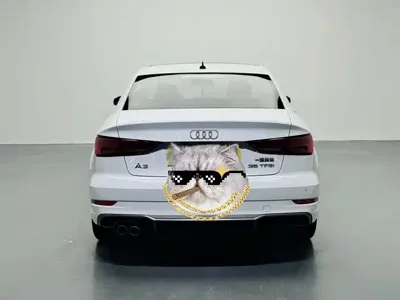 Audi A3 2020, 67000 км, за 10019.27 USD - фото 16