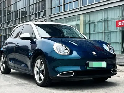 ORA Ora Good Cat 2021, 19000 км, за 8681.41 USD