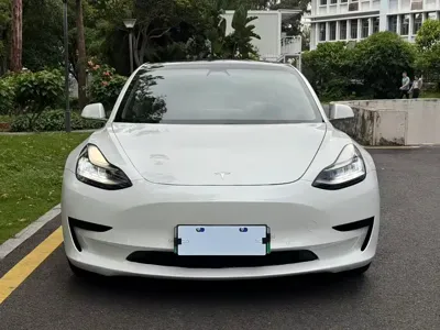 Tesla Model 3 2020, 70000 км, за 16332.82 USD