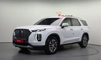 Hyundai Palisade · 2019 год
