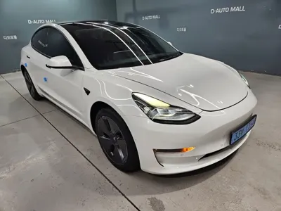 Tesla Model 3 2022, 106455 км, за 17781.61 USD