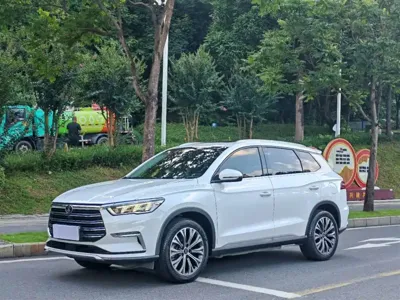 BYD Pro New Energy · 2020 год