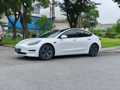 Tesla Model 3 · 2021 год