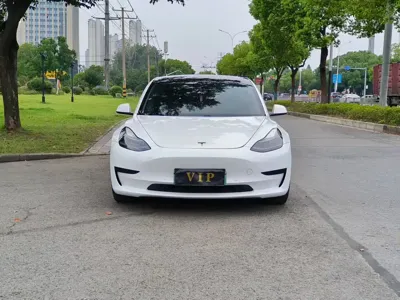 Tesla Model 3 2021, 120000 км, за 15594.68 USD
