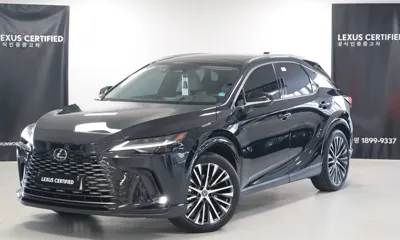 Lexus RX · 2025 год
