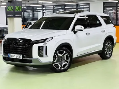 Hyundai Palisade · 2023 год