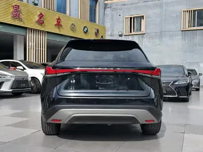 Lexus RX 2024, 30000 км, за 42113.38 USD - фото 9