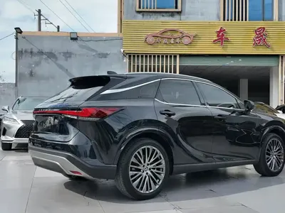 Lexus RX 2024, 30000 км, за 42113.38 USD - фото 10