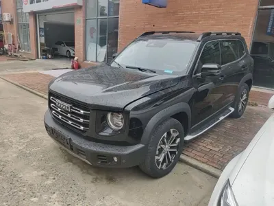 Haval Big Dog 2022, 51800 км, за 10329.41 USD