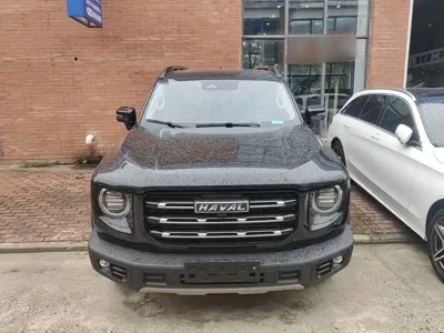 Haval Big Dog 2022, 51800 км, за 10329.41 USD