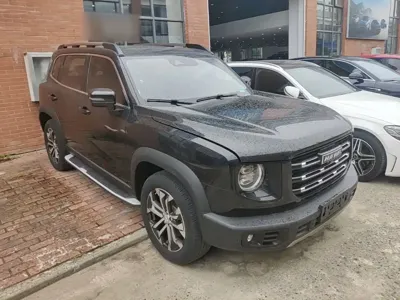Haval Big Dog 2022, 51800 км, за 10329.41 USD